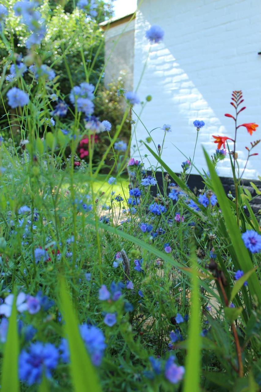 Het Aambeeld Bed & Breakfast Wanroij Bagian luar foto