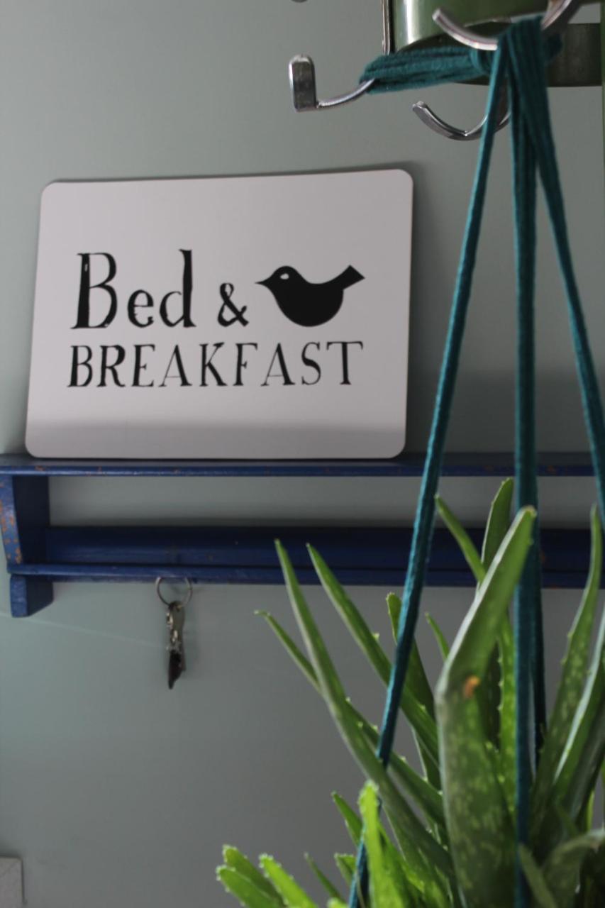 Het Aambeeld Bed & Breakfast Wanroij Bagian luar foto