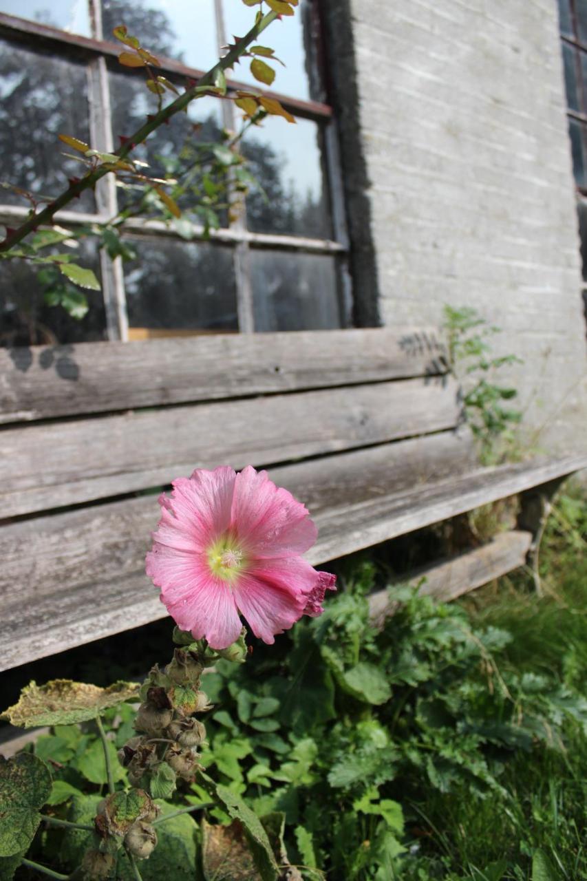 Het Aambeeld Bed & Breakfast Wanroij Bagian luar foto